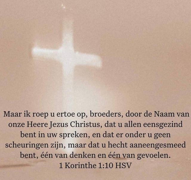 sprokkelhoutjes