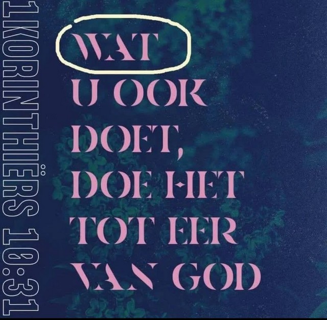sprokkelhoutjes