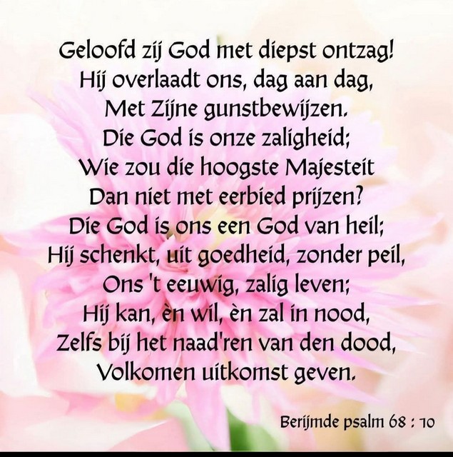 sprokkelhoutjes