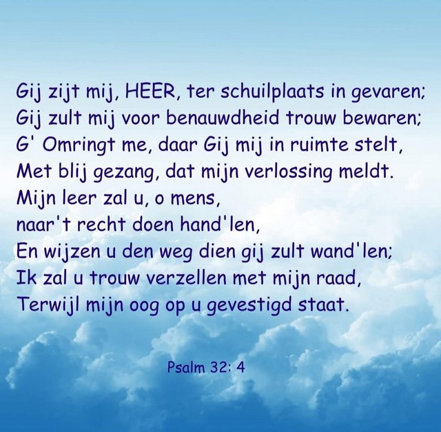 sprokkelhoutjes
