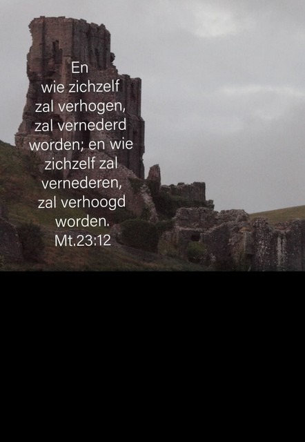 sprokkelhoutjes