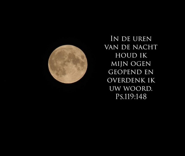 sprokkelhoutjes
